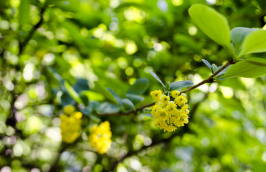 Similar image 10947742