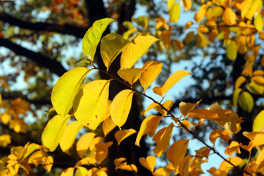 Similar image 10947473