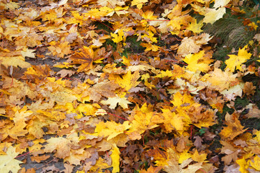 Similar image 10947474