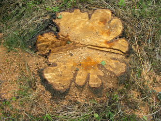 Similar image 10947444