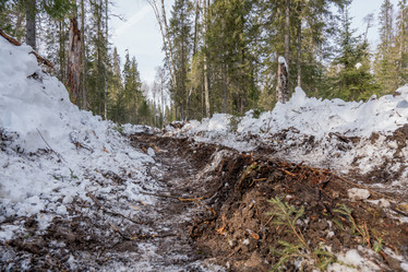 Similar image 10947747