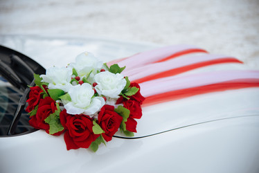 Similar image 10949874