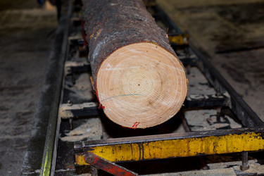 Similar image 10948124