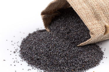 Similar image 10949042