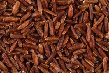 Similar image 10949058