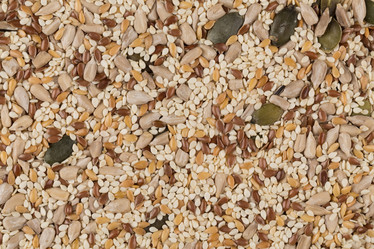 Similar image 10948915