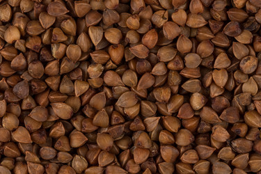 Similar image 10948920