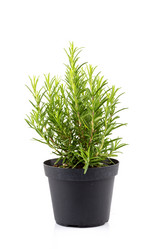 Similar image 10948921