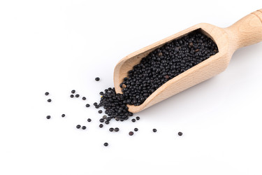 Similar image 10948970