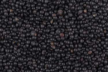 Similar image 10948979