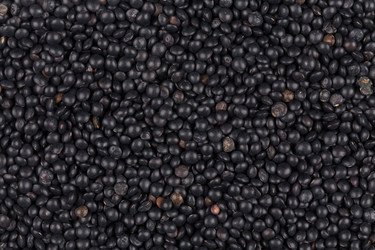 Similar image 10948980