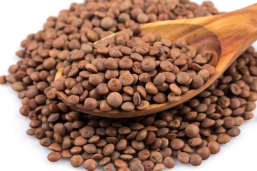 Similar image 10948999