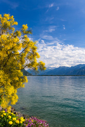 Similar image 10949001