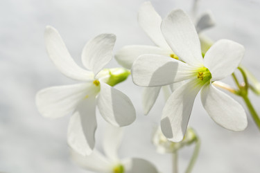 Similar image 10947867