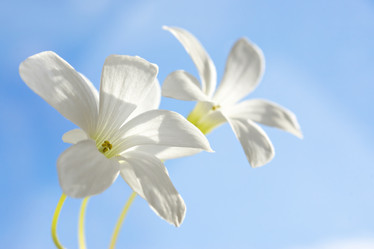 Similar image 10947717