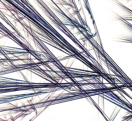 Similar image 10949686