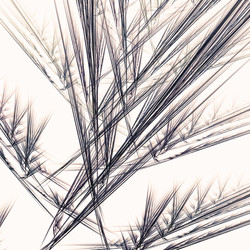 Similar image 10949710