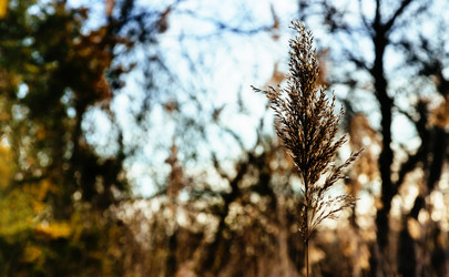 Similar image 10947496