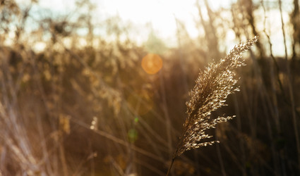 Similar image 10947497