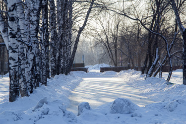 Similar image 10947467