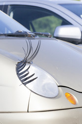 Similar image 10947652