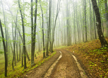 Similar image 10947807