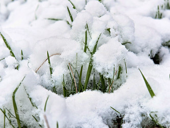 Similar image 10947620