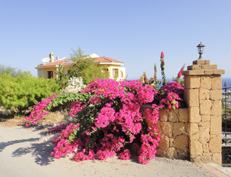 Similar image 10949149