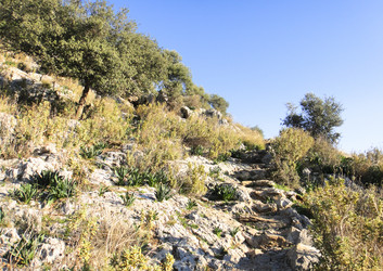 Similar image 10949038