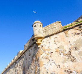 Similar image 10951279