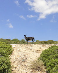 Similar image 10948578