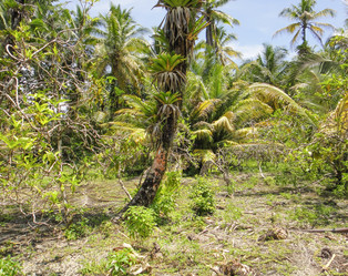 Similar image 10948673