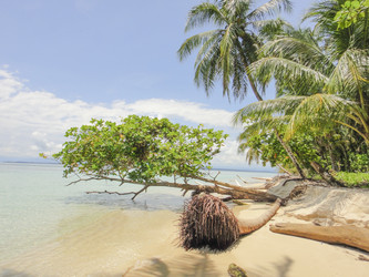 Similar image 10948675