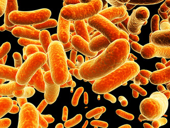 Similar image 10949345