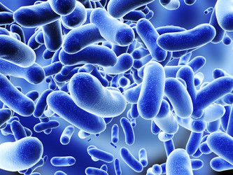 Similar image 10949346