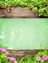 Similar image 10949381