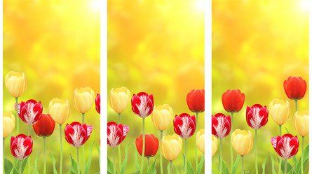 Similar image 10949388