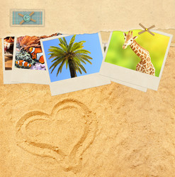 Similar image 10949407