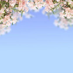 Similar image 10949408