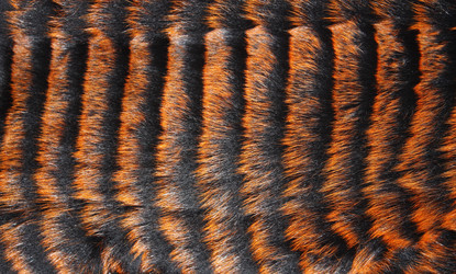 Similar image 10949409