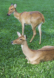 Similar image 10952209