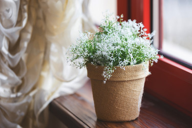 Similar image 10952153