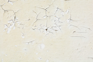 Similar image 10949834