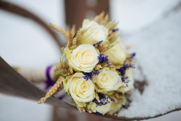 Similar image 10953226