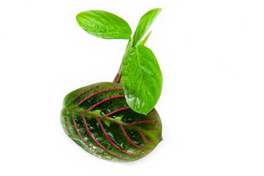 Similar image 10949882