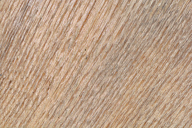 Similar image 10949902