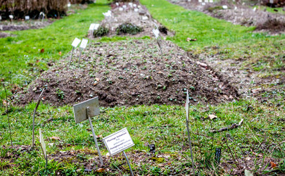 Similar image 10951254