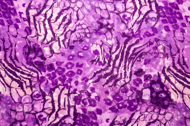 Similar image 10951228