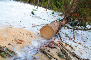 Similar image 10951256