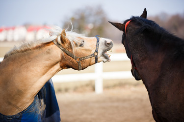 Similar image 10953168